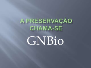  36% do PIB de São Gabriel do Oeste / MS provém da atividade de suinocultura.
