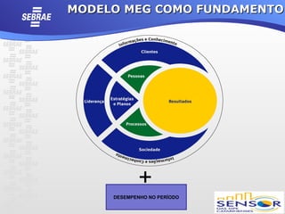 MODELO MEG COMO FUNDAMENTO




            +
     DESEMPENHO NO PERÍODO
 