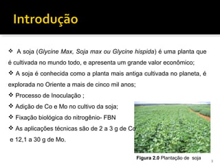  A soja (Glycine Max, Soja max ou Glycine hispida) é uma planta que
é cultivada no mundo todo, e apresenta um grande valor econômico;
 A soja é conhecida como a planta mais antiga cultivada no planeta, é
explorada no Oriente a mais de cinco mil anos;
 Processo de Inoculação ;
 Adição de Co e Mo no cultivo da soja;
 Fixação biológica do nitrogênio- FBN
 As aplicações técnicas são de 2 a 3 g de Co
e 12,1 a 30 g de Mo.
Figura 2.0 Plantação de soja 3
 