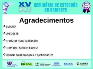 Agradecimentos
EMATER
UNIOESTE
Produtor Rural Alexandre
Profª Dra. Mônica Fiorese
Demais colaboradores e participantes
 