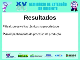 Resultados
Realizou-se visitas técnicas na propriedade
Acompanhamento do processo de produção
 