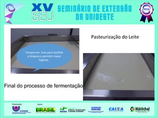 Pasteurização do Leite
Final do processo de fermentação
Tanque em Inox para facilitar
a limpeza e permitir maior
higiene.
 
