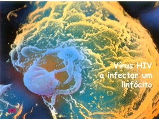 Vírus HIV a infectar um linfócito 