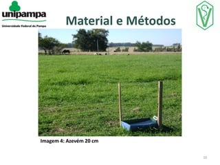 Material e Métodos

Imagem 4: Azevém 20 cm
10

 