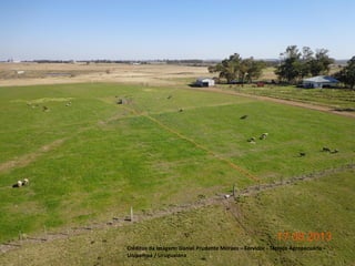 Créditos da imagem: Daniel Prudente Moraes – Servidor - Técnico Agropecuária –
12
Unipampa / Uruguaiana

 