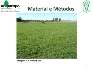 Material e Métodos

Imagem 1: Azevém 5 cm
7

 