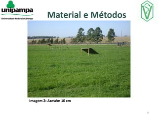 Material e Métodos

Imagem 2: Azevém 10 cm
8

 