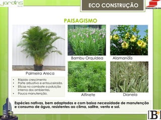 ECO CONSTRUÇÃO
PAISAGISMO

Bambu Orquídea

Alamanda
amarela

Palmeira Areca
• 
• 
• 
• 

Rápido crescimento
Porte arbustivo e entouceirada.
Eficaz no combate a poluição
interna dos ambientes.
Pouca manutenção.

Alfinete

Dianela

Espécies nativas, bem adaptadas e com baixa necessidade de manutenção
e consumo de água, resistentes ao clima, salitre, vento e sol.

 