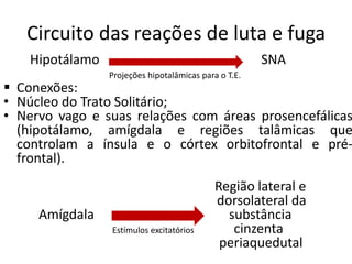 Circuito das reações de luta e fuga
Hipotálamo SNA
Projeções hipotalâmicas para o T.E.
 Conexões:
• Núcleo do Trato Solitário;
• Nervo vago e suas relações com áreas prosencefálicas
(hipotálamo, amígdala e regiões talâmicas que
controlam a ínsula e o córtex orbitofrontal e pré-
frontal).
Região lateral e
dorsolateral da
Amígdala substância
Estímulos excitatórios cinzenta
periaquedutal
 