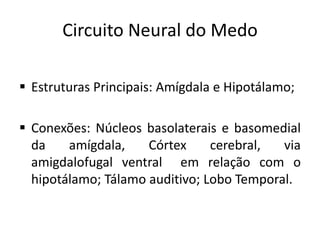 Circuito Neural do Medo
 Estruturas Principais: Amígdala e Hipotálamo;
 Conexões: Núcleos basolaterais e basomedial
da amígdala, Córtex cerebral, via
amigdalofugal ventral em relação com o
hipotálamo; Tálamo auditivo; Lobo Temporal.
 