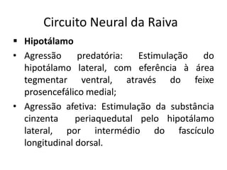Circuito Neural da Raiva
 Hipotálamo
• Agressão predatória: Estimulação do
hipotálamo lateral, com eferência à área
tegmentar ventral, através do feixe
prosencefálico medial;
• Agressão afetiva: Estimulação da substância
cinzenta periaquedutal pelo hipotálamo
lateral, por intermédio do fascículo
longitudinal dorsal.
 