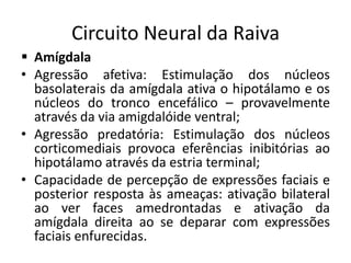 Circuito Neural da Raiva
 Amígdala
• Agressão afetiva: Estimulação dos núcleos
basolaterais da amígdala ativa o hipotálamo e os
núcleos do tronco encefálico – provavelmente
através da via amigdalóide ventral;
• Agressão predatória: Estimulação dos núcleos
corticomediais provoca eferências inibitórias ao
hipotálamo através da estria terminal;
• Capacidade de percepção de expressões faciais e
posterior resposta às ameaças: ativação bilateral
ao ver faces amedrontadas e ativação da
amígdala direita ao se deparar com expressões
faciais enfurecidas.
 
