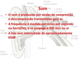 Som
• O som é produzido por ondas de compressão
e descompressão transmitidas pelo ar.
• A frequência é medida em ciclos por segundo
ou hertz(Hz), e se propaga a 335 m/s no ar
• A fala tem intensidade de aproximadamente
65dB

 