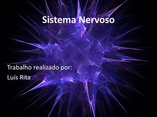 Sistema Nervoso 
Trabalho realizado por: 
Luís Rita 
 