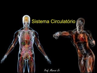 Sistema Circulatório 
Prof. Marcos Jr 
 