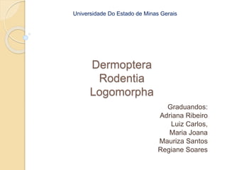 Universidade Do Estado de Minas Gerais 
Dermoptera 
Rodentia 
Logomorpha 
Graduandos: 
Adriana Ribeiro 
Luiz Carlos, 
Maria Joana 
Mauriza Santos 
Regiane Soares 
 