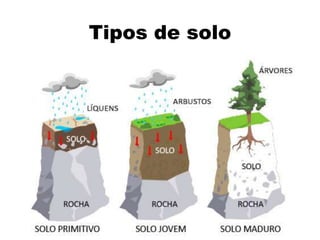 Tipos de solo
 