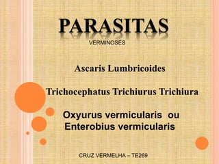 PARASITAS
VERMINOSES
Ascaris Lumbricoides
Trichocephatus Trichiurus Trichiura
Oxyurus vermicularis ou
Enterobius vermicularis
CRUZ VERMELHA – TE269
 