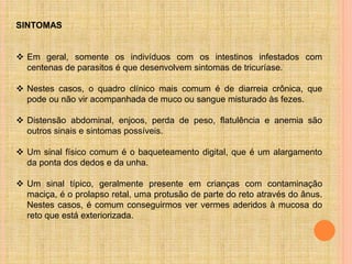 SINTOMAS
 Em geral, somente os indivíduos com os intestinos infestados com
centenas de parasitos é que desenvolvem sintomas de tricuríase.
 Nestes casos, o quadro clínico mais comum é de diarreia crônica, que
pode ou não vir acompanhada de muco ou sangue misturado às fezes.
 Distensão abdominal, enjoos, perda de peso, flatulência e anemia são
outros sinais e sintomas possíveis.
 Um sinal físico comum é o baqueteamento digital, que é um alargamento
da ponta dos dedos e da unha.
 Um sinal típico, geralmente presente em crianças com contaminação
maciça, é o prolapso retal, uma protusão de parte do reto através do ânus.
Nestes casos, é comum conseguirmos ver vermes aderidos à mucosa do
reto que está exteriorizada.
 