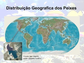 Distribuição Geografica dos Peixes
Grande lago salgado
(Utah – Estados Unidos)
 