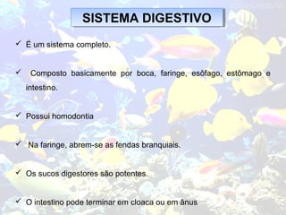  É um sistema completo.
 Composto basicamente por boca, faringe, esôfago, estômago e
intestino.
 Possui homodontia
 Na faringe, abrem-se as fendas branquiais.
 Os sucos digestores são potentes.
 O intestino pode terminar em cloaca ou em ânus
SISTEMA DIGESTIVOSISTEMA DIGESTIVO
 