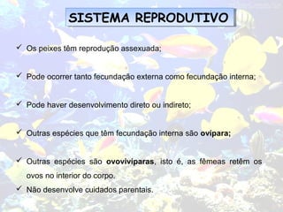 SISTEMA REPRODUTIVOSISTEMA REPRODUTIVO
 Os peixes têm reprodução assexuada;
 Pode ocorrer tanto fecundação externa como fecundação interna;
 Pode haver desenvolvimento direto ou indireto;
 Outras espécies que têm fecundação interna são ovípara;
 Outras espécies são ovovivíparas, isto é, as fêmeas retêm os
ovos no interior do corpo.
 Não desenvolve cuidados parentais.
 