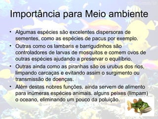 Importância para Meio ambiente
• Algumas espécies são excelentes dispersoras de
sementes, como as espécies de pacus por exemplo.
• Outras como os lambaris e barrigudinhos são
controladores de larvas de mosquitos e comem ovos de
outras espécies ajudando a preservar o equilíbrio.
• Outras ainda como as piranhas são os urubus dos rios,
limpando carcaças e evitando assim o surgimento ou
transmissão de doenças.
• Além destas nobres funções, ainda servem de alimento
para inúmeras espécies animais. alguns peixes (limpam)
o oceano, eliminando um pouco da poluição.
 