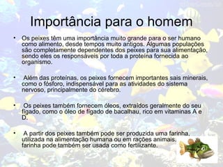 Importância para o homem
• Os peixes têm uma importância muito grande para o ser humano
como alimento, desde tempos muito antigos. Algumas populações
são completamente dependentes dos peixes para sua alimentação,
sendo eles os responsáveis por toda a proteína fornecida ao
organismo.
• Além das proteínas, os peixes fornecem importantes sais minerais,
como o fósforo, indispensável para as atividades do sistema
nervoso, principalmente do cérebro.
• Os peixes também fornecem óleos, extraídos geralmente do seu
fígado, como o óleo de fígado de bacalhau, rico em vitaminas A e
D.
• A partir dos peixes também pode ser produzida uma farinha,
utilizada na alimentação humana ou em rações animais. Essa
farinha pode também ser usada como fertilizante.
 