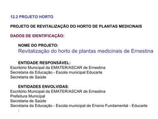 12.2 PROJETO HORTO PROJETO DE REVITALIZAÇÃO DO HORTO DE PLANTAS MEDICINAIS DADOS DE IDENTIFICAÇÃO: NOME DO PROJETO:  Revitalização do horto de plantas medicinais de Ernestina ENTIDADE RESPONSÁVEL: Escritório Municipal da EMATER/ASCAR de Ernestina Secretaria da Educação - Escola municipal Educarte Secretaria de Saúde ENTIDADES ENVOLVIDAS : Escritório Municipal da EMATER/ASCAR de Ernestina Prefeitura Municipal  Secretaria de Saúde Secretaria da Educação - Escola municipal de Ensino Fundamental - Educarte : 