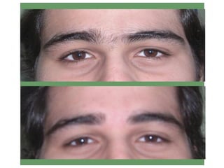 Apresentaosobrancelhasdellicata 120416091104-phpapp02