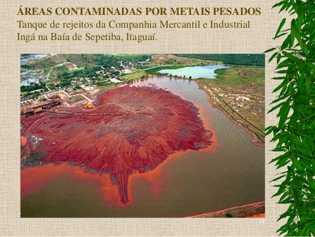 Imagem relacionada