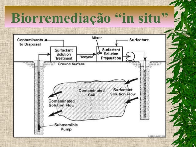 Apresentação sobre biorremediação (1)