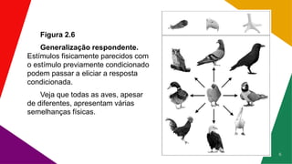 Figura 2.6
Generalização respondente.
Estímulos fisicamente parecidos com
o estímulo previamente condicionado
podem passar a eliciar a resposta
condicionada.
Veja que todas as aves, apesar
de diferentes, apresentam várias
semelhanças físicas.
6
 