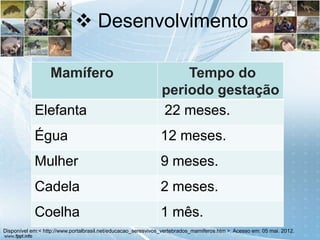  Desenvolvimento

                  Mamífero                                         Tempo do
                                                               periodo gestação
            Elefanta                                           22 meses.
            Égua                                               12 meses.
            Mulher                                             9 meses.
            Cadela                                             2 meses.
            Coelha                                             1 mês.
Disponível em:< http://www.portalbrasil.net/educacao_seresvivos_vertebrados_mamiferos.htm >. Acesso em: 05 mai. 2012.
 