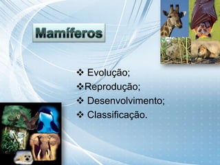  Evolução;
Reprodução;
 Desenvolvimento;
 Classificação.
 