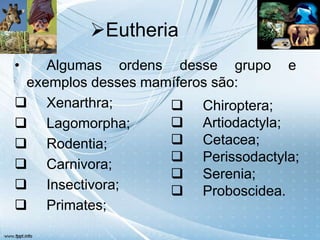Eutheria
•   Algumas ordens desse grupo e
 exemplos desses mamíferos são:
 Xenarthra;         Chiroptera;
 Lagomorpha;        Artiodactyla;
 Rodentia;          Cetacea;
                     Perissodactyla;
 Carnivora;
                     Serenia;
 Insectivora;       Proboscidea.
 Primates;
 