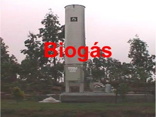 Biogás

 