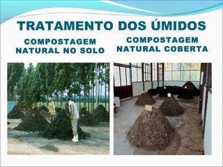 TRATAMENTO DOS ÚMIDOS
 COMPOSTAGEM       COMPOSTAGEM
NATURAL NO SOLO   NATURAL COBERTA
 