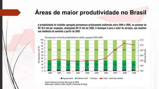 Áreas de maior produtividade no Brasil
 