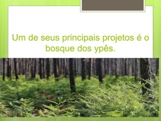 Um de seus principais projetos é o
bosque dos ypês.
 