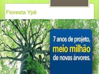 Floresta Ypê
 