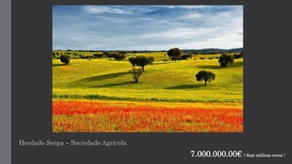 Herdade Serpa – Sociedade Agrícola
7.000.000.00€ ( Sept millions euros )
 