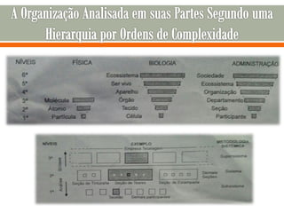 Sociologia aplicada a administraçao