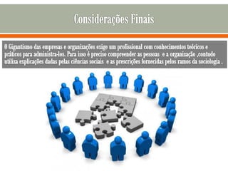 Sociologia aplicada a administraçao