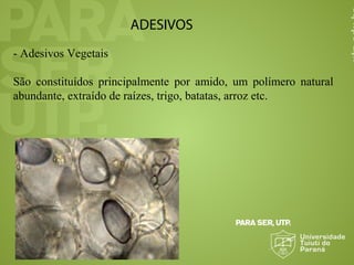 ADESIVOS
- Adesivos Vegetais
São constituídos principalmente por amido, um polímero natural
abundante, extraído de raízes, trigo, batatas, arroz etc.
 