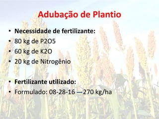 Adubação de Plantio
• Necessidade de fertilizante:
• 80 kg de P2O5
• 60 kg de K2O
• 20 kg de Nitrogênio
• Fertilizante utilizado:
• Formulado: 08-28-16 270 kg/ha
 