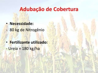 Adubação de Cobertura
• Necessidade:
- 80 kg de Nitrogênio
• Fertilizante utilizado:
- Ureia = 180 kg/ha
 
