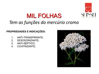 MIL FOLHAS
 Tem as funções do mercúrio cromo
PROPRIEDADES E INDICAÇÕES:

   1.   ANTI-TRANSPIRANTE;
   2.   DESODORIZANTE;
   3.   ANTI-SÉPTICO;
   4.   CICATRIZANTE;
 
