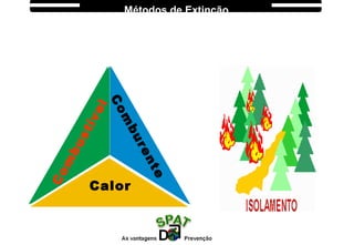 Com
burente
Com
bustível
Calor
Métodos de Extinção
 