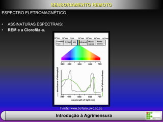 ESPECTRO ELETROMAGNÉTICO
• ASSINATURAS ESPECTRAIS:
• REM e a Clorofila-a.
SENSORIAMENTO REMOTO
Introdução à Agrimensura
Fonte: www.botany.uwc.ac.za
 